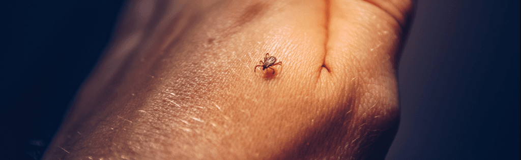 Lyme Disease Gundry Health Banner