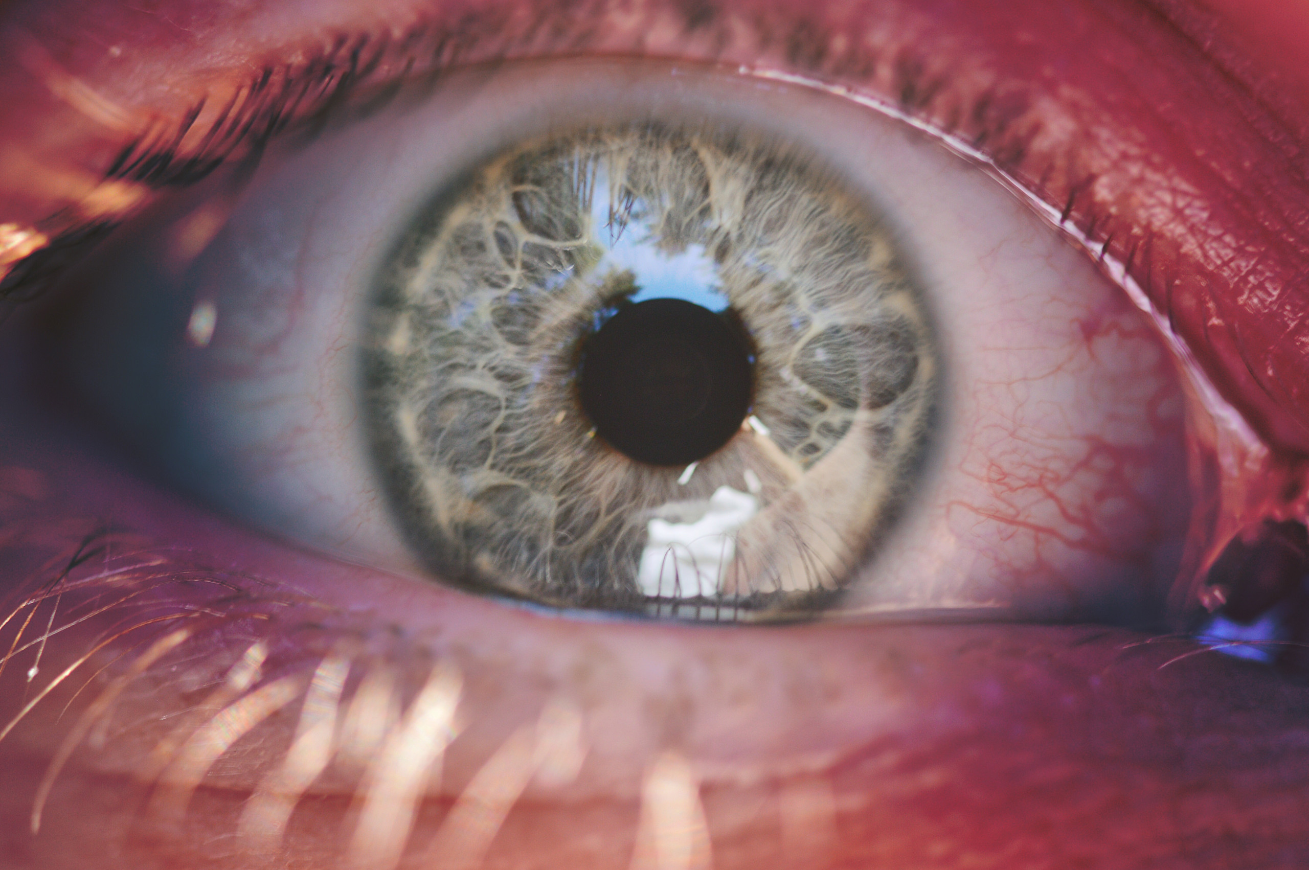 Gundry Health Close up of a green eye